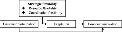 How exaptation mediates the effects of customer participation on low-cost innovation: The role of strategic flexibility